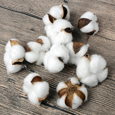 Stranded cotton bolls / 10 pcs - 1