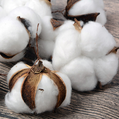 Stranded cotton bolls / 10 pcs - 2