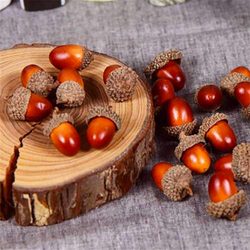 Acorns / 25 pcs - Bimotif