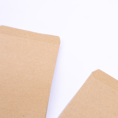 Kraft seed envelope, 9x12 cm / 100 pcs - 2